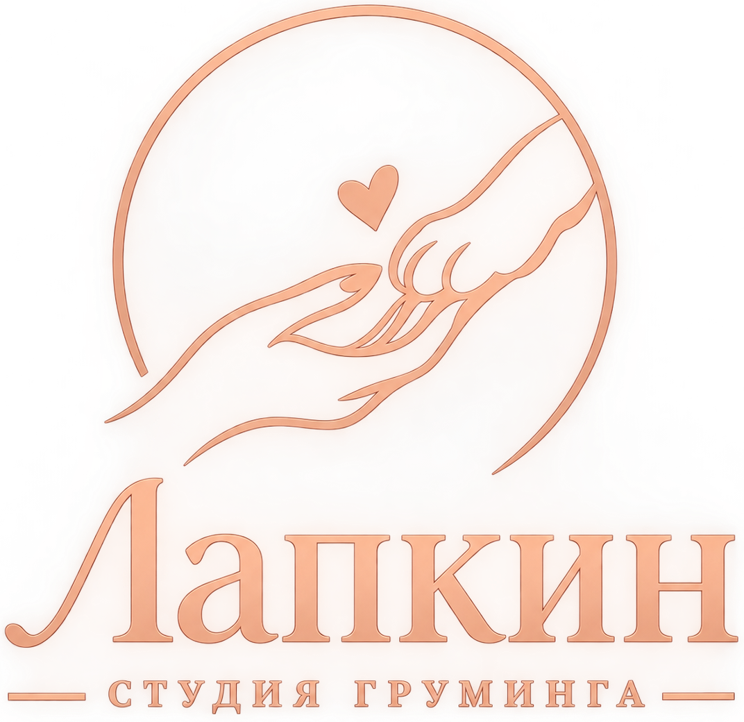 Лапкин — студия груминга
